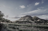 Around the World of Wine - South Africa