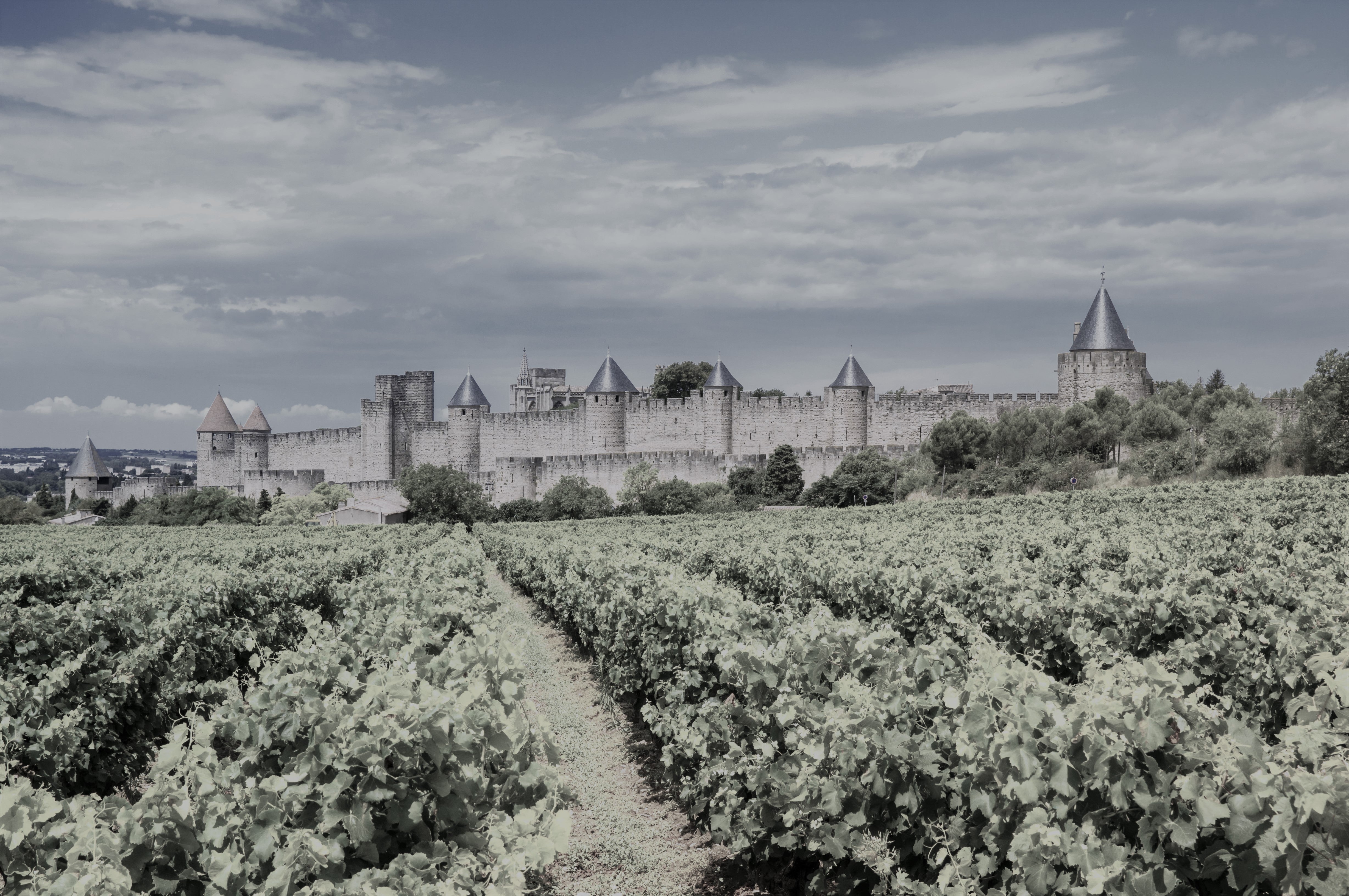 Around the World of Wine - Southern France