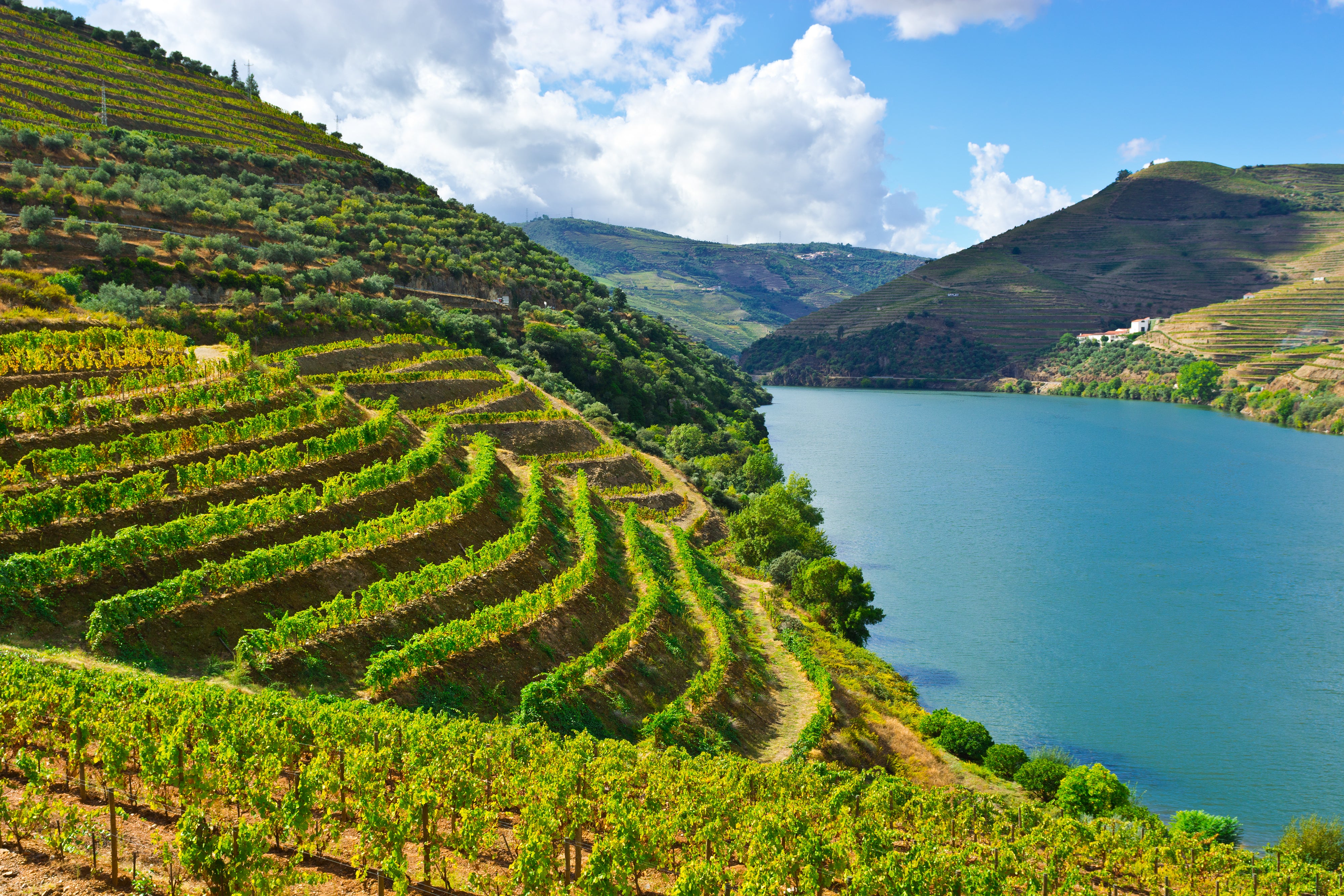 Around the World of Wine - Portugal