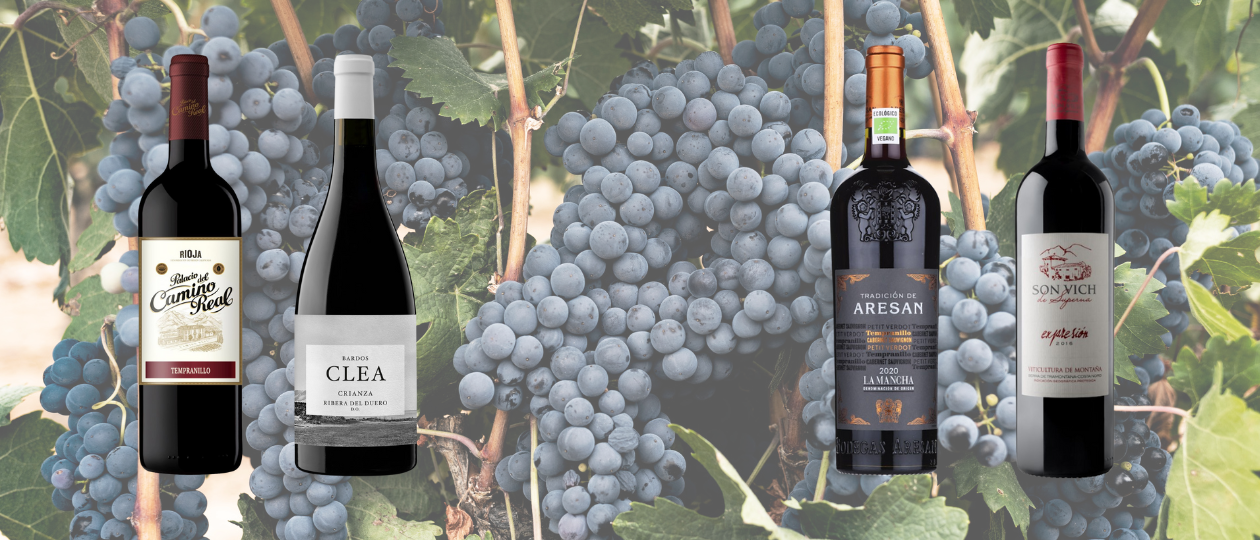 Tempranillo Offer