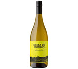 2023 Sierra de Enmedio Sauvignon Blanc, Bodegas Alceno, Jumilla, Spain