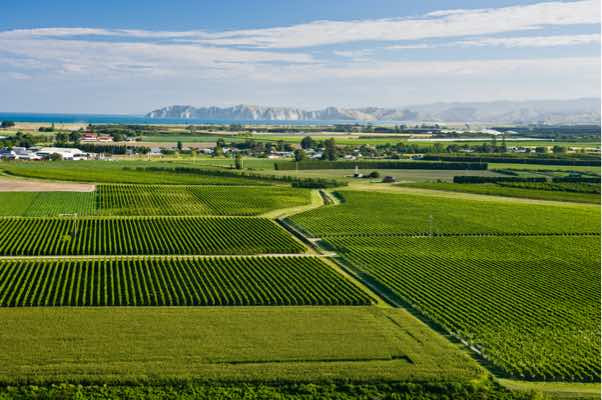 New Zealand Wine Dinner - Matawhero Wines (Friday 13th February 2026)