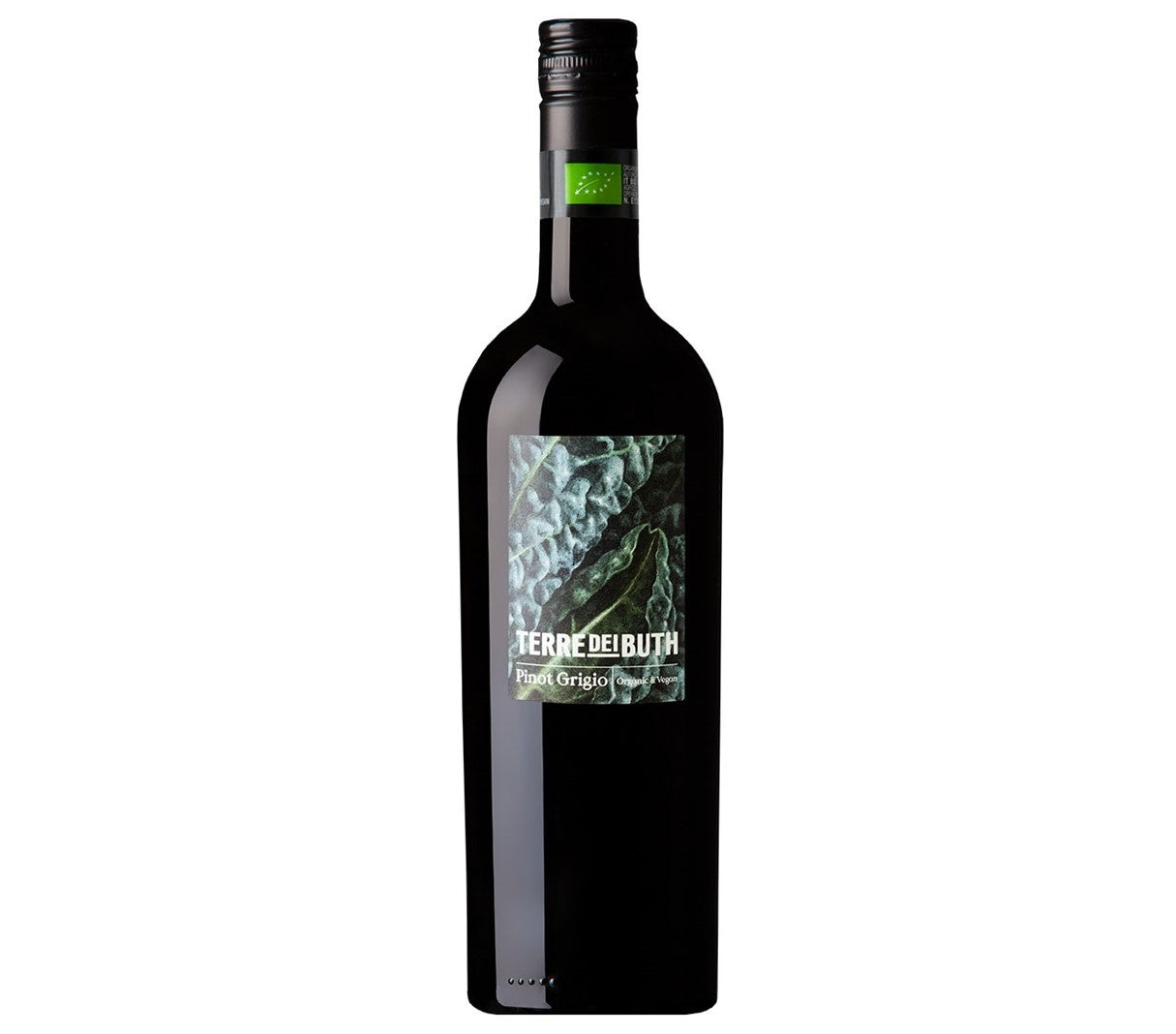 2022 Organic Pinot Grigio, Terre dei Buth, Veneto, Italy
