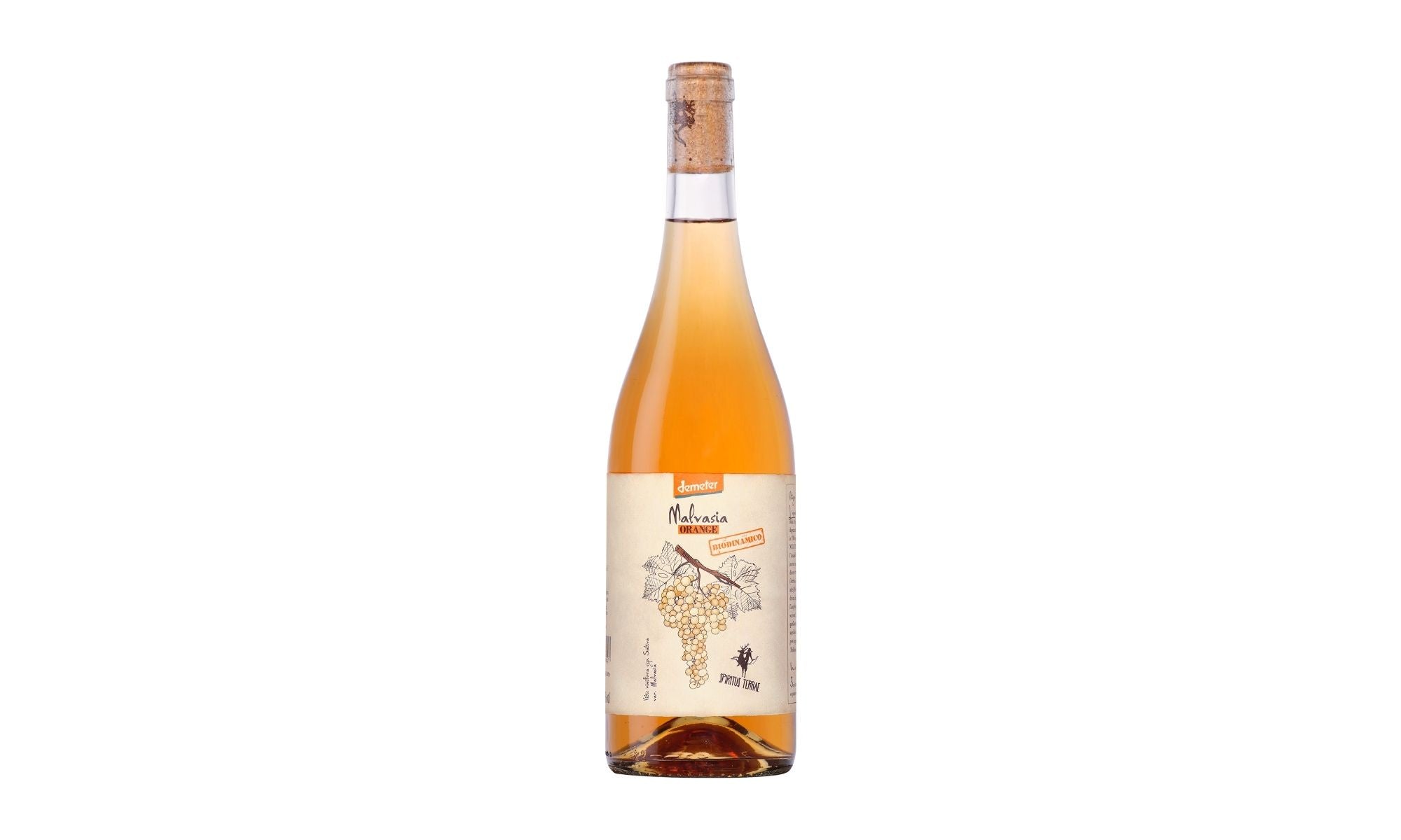2025 Organic Malvasia Orange, Cantina Orsogna Spiritus Terrae, Abruzzo, Italy