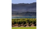 Staphyle Estate, Mendoza, Argentina – Friday 18th September