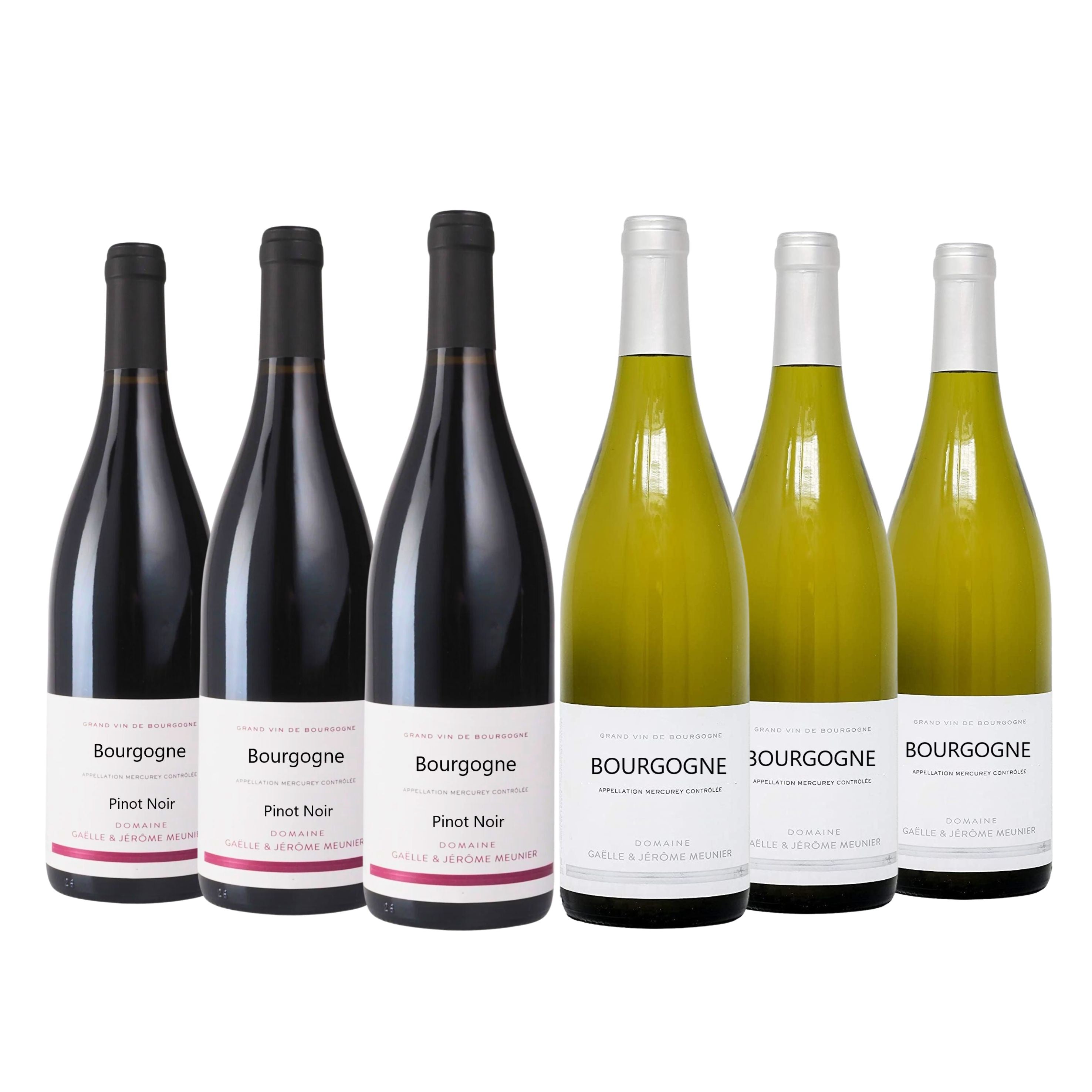 Bourgogne Mixed Case, Domaine Meunier - 6 bottle case