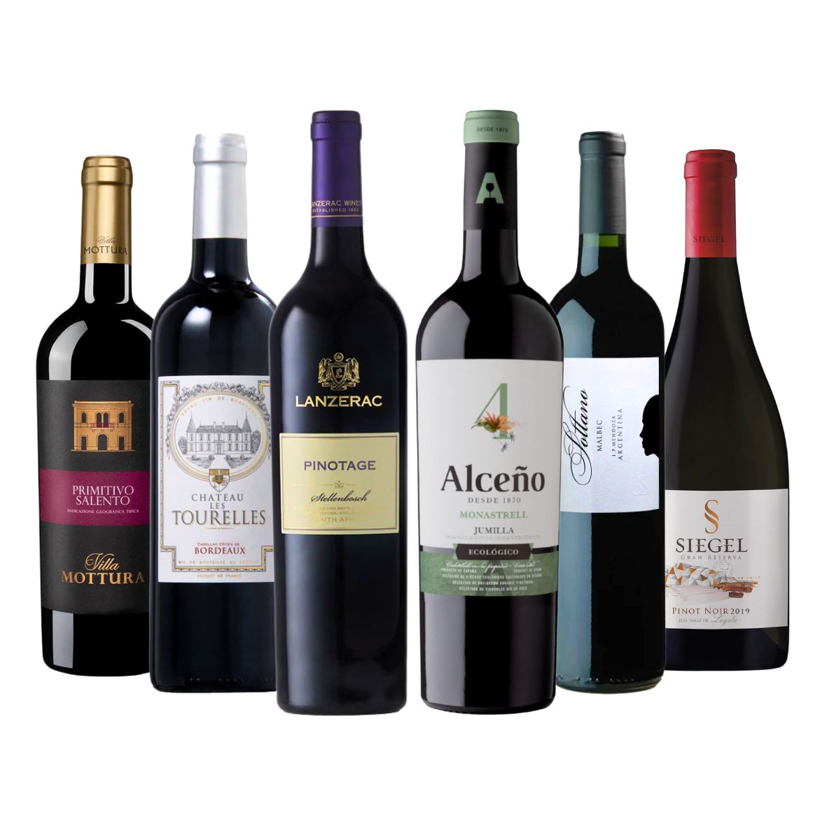 The Grab & Go Reds Case (6 Bottles)